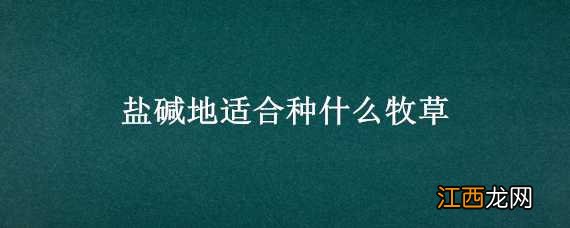 适合盐碱地的牧草 盐碱地适合种什么牧草