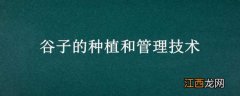 谷子的种植和管理技术 谷子的种植和管理技术要点