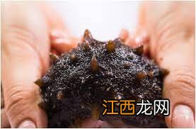 ?夏天吃海参上火吗