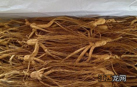 人参泡水作用 人参泡水的功效和禁忌