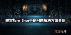 暖雪支持手柄吗