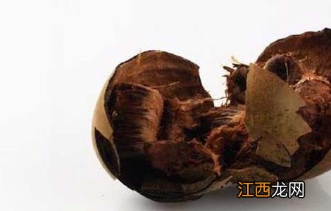 罗汉果的功效与禁忌 罗汉果的功效与禁忌怎么泡水效与禁忌