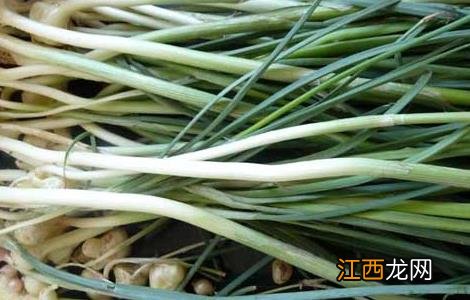 小蒜的功效与作用图片 小蒜的功效与作用