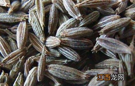 孜然的功效与作用吃法 孜然的功效与作用