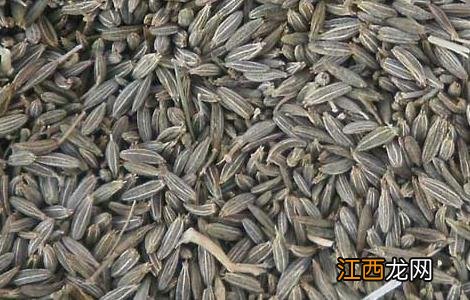 孜然的功效与作用吃法 孜然的功效与作用