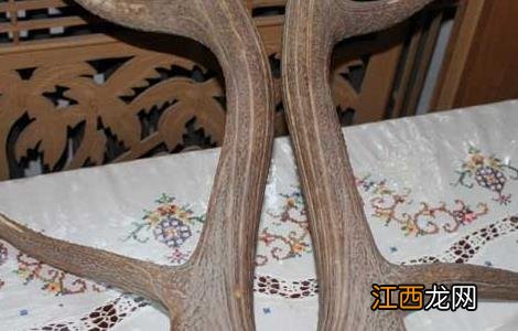 鹿角霜的功效与作用 鹿角的功效与作用