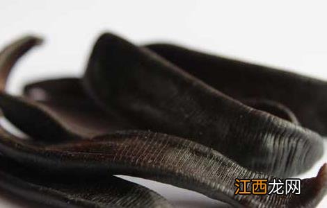 水蛭的功效与作用及禁忌 水蛭的功效与作用及禁忌和副作用