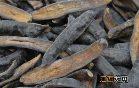 水蛭的功效与作用及禁忌 水蛭的功效与作用及禁忌和副作用