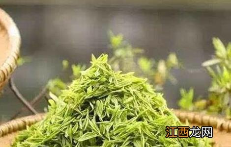 黄金叶茶叶种植前景 黄金茶的种植前景