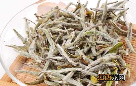 白茶是什么茶品种 白茶是什么茶