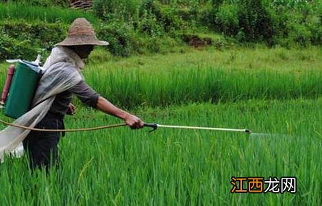 节约成本少污染的农药喷洒方式 节约成本少污染的农药喷洒方式是什么