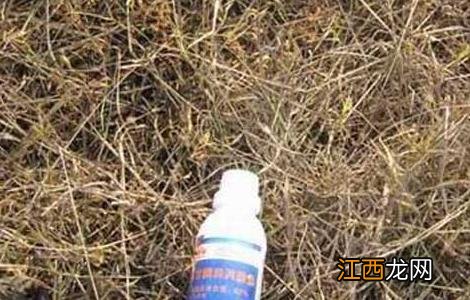 除草剂药害产生的人为原因及预防措施