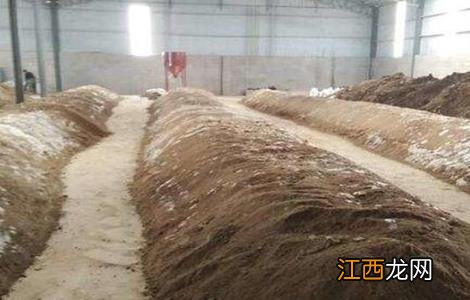 慧满丰微生物菌剂的作用 微生物菌剂的作用