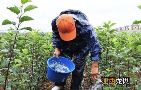 微量元素常用施肥方法 微量元素肥施用注意事项