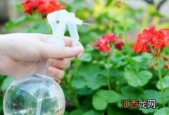 25mg阿司匹林怎么浇花 阿司匹林浇花用多少水