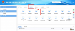 湖北省电子税务局怎么查询居民医保缴费记录