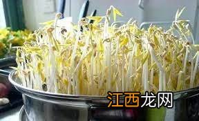 ?绿豆芽怎么发