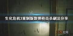 生化危机3重制版霰弹枪击杀数怎么刷 生化危机3重制版霰弹枪子弹合成