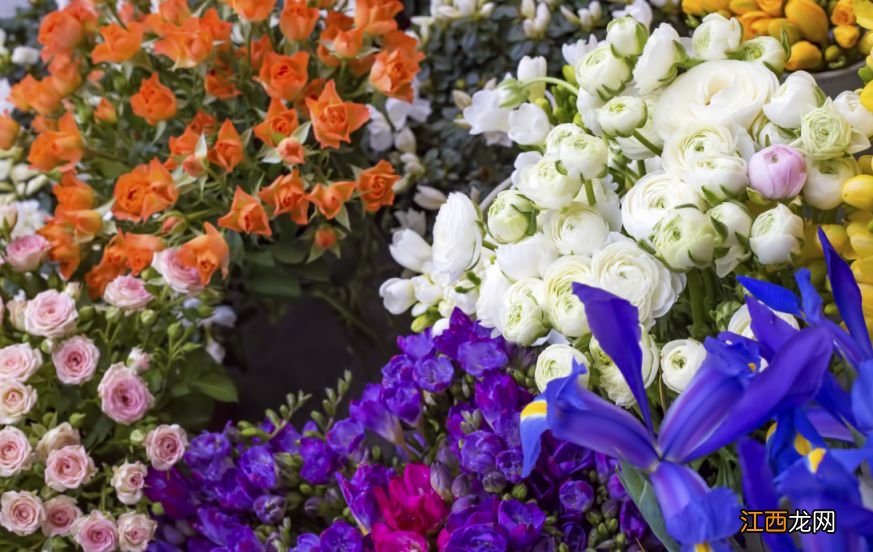 重庆花市有哪些地方可以玩 重庆花市有哪些地方