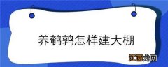 鹌鹑大棚建设 养鹌鹑怎样建大棚