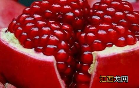 石榴常见种植品种 石榴常见种植品种图片