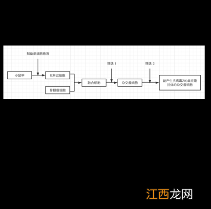 2020年河北理综答案 2020河北高考理科综合参考答案解析