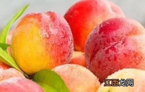 如何提高水蜜桃的产量 如何提高水蜜桃的产量呢