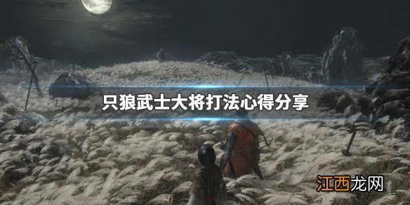 只狼影逝二度武士大将怎么打 只狼武士大将打完怎么走