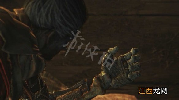 只狼支线剧情任务攻略汇总 只狼npc支线剧情汇总