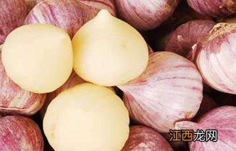 独头蒜种植方法 独头蒜的种植技术