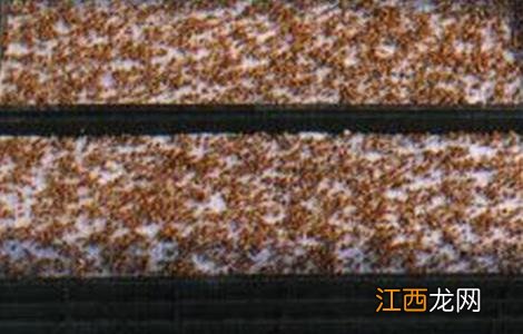 简述蔬菜种子催芽注意事项 蔬菜种子催芽注意事项