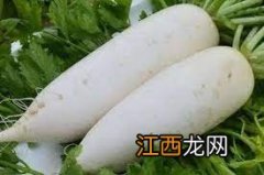 冬天适合吃的16种蔬菜