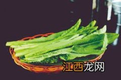 ?吃油麦菜有什么好处