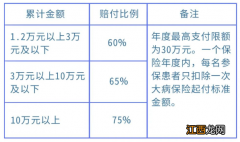 武汉城乡居民医保大病报销比例及起付标准