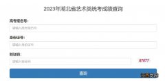 2023年湖北省艺术类统考成绩查询入口官网