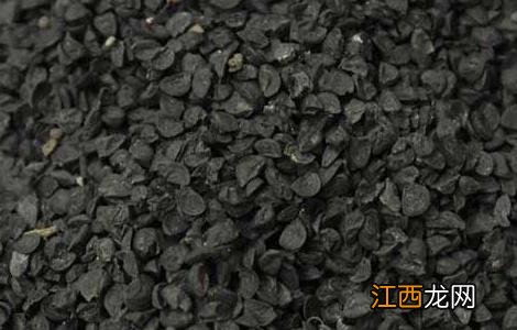 韭菜种子怎么种植方法视频 韭菜种子怎么种植