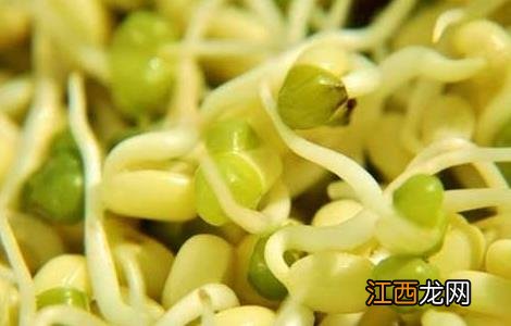 绿豆芽怎么发才好 绿豆芽怎么发才好吃