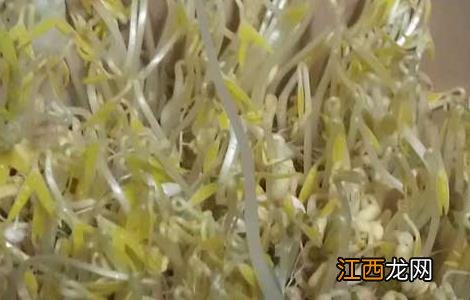 绿豆芽怎么发才好 绿豆芽怎么发才好吃