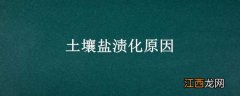 土壤盐渍化原因 土壤盐渍化原因措施植物营养学