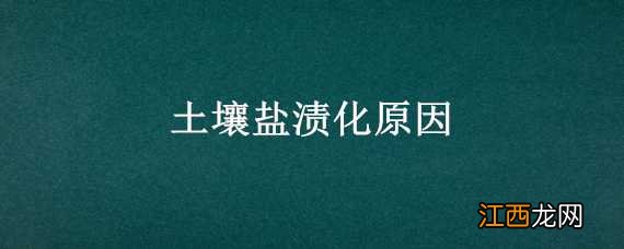 土壤盐渍化原因 土壤盐渍化原因措施植物营养学