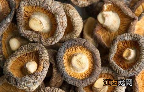 香菇的产地有哪些 香菇的主要产地