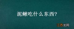 泥鳅吃什么东西? 泥鳅吃什么东西长大的