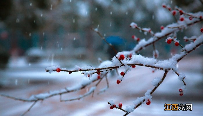 梅花古诗后两句的特点 梅花古诗后两句突出了梅花什么特点