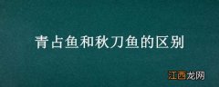 青占鱼和秋刀鱼的区别 青占鱼和秋刀鱼的区别在哪里