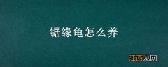 锯缘龟怎么养背甲亮 锯缘龟怎么养