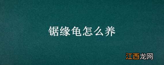 锯缘龟怎么养背甲亮 锯缘龟怎么养