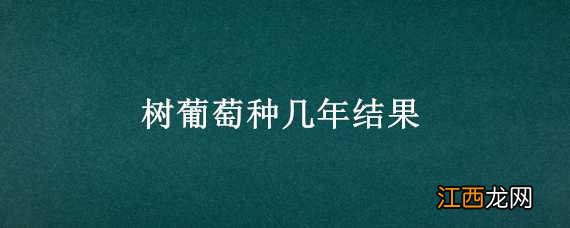 树葡萄种几年结果的 树葡萄种几年结果