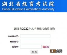 2022年湖北省艺术类统考成绩查询入口 2021年湖北省艺术统考成绩查询