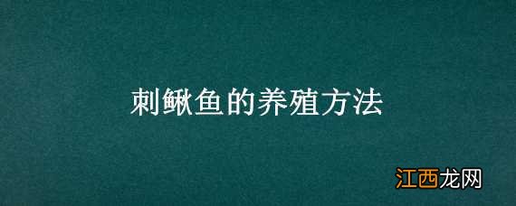 刺鳅鱼的养殖方法 刺鳅鱼的养殖方法和技术