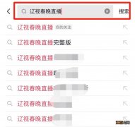 辽视春晚在哪个app能看 辽视春晚在哪个app能看？